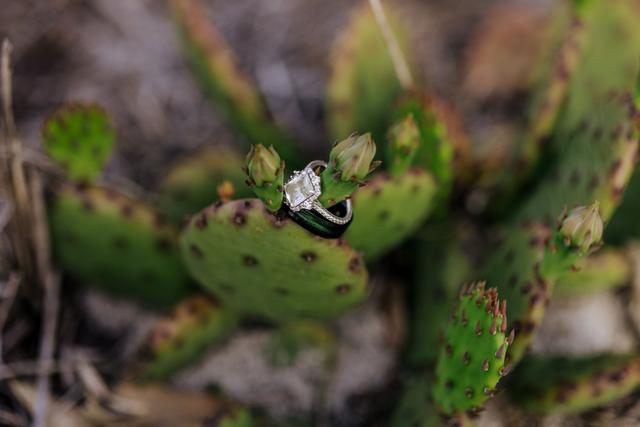 VJBurgosPhotography - 1