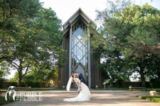 The Purple Pebble Photography - 7