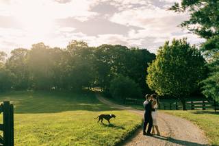 Vesic Photography - 12