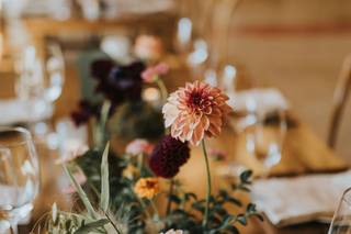 root + gather events - 9