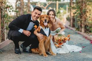 The Flower Fields - 5