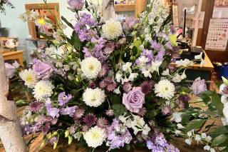 Harrington Flowers - 7