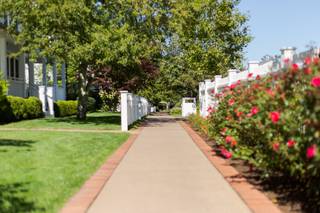 Harbor View Hotel - 10