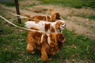 Mallory Munson Photography - 8