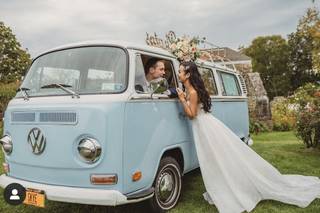 VW Picture Bus - 14