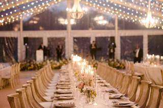 Trivien Events - 23