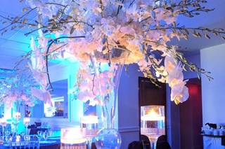 International Party Designers - 15