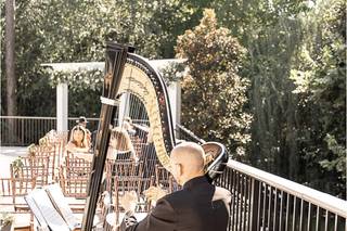 Vince Zentner Harpist - 5