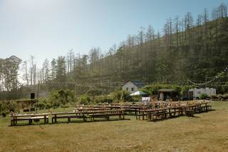 Green Oaks Creek Farm - 12