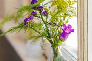 Wild Grove Florals - 6