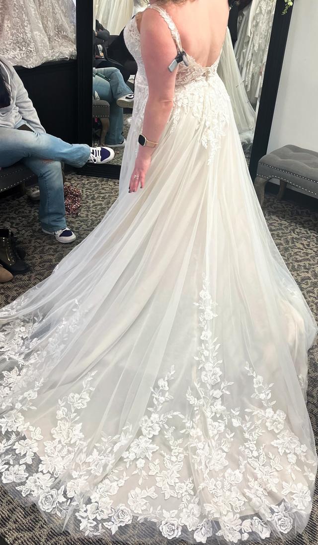 Blue Bridal - 2
