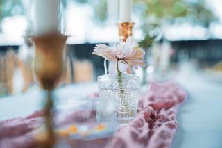 Lillian Gardens - 5