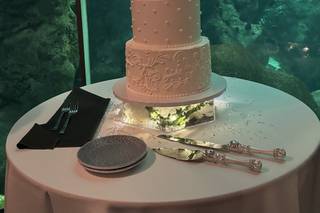 The Cake Girl - 7