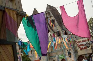 Minnesota Renaissance Festival / Mid-America Festivals - 12