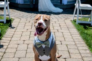 Danversport Weddings - 7
