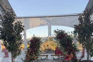 Blossom Bliss Florist - 31