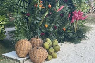 Blue Venado Beach Weddings - 16