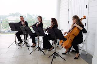 Cherry Blossom String Quartet - 7