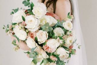 Plume Events - 10