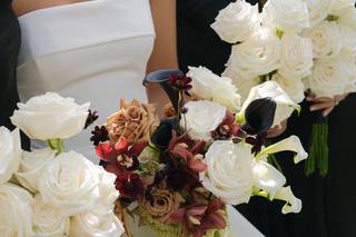 Steelcut Flower Co - 6