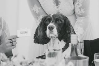 Alexa Poppe Wedding Photography - 20