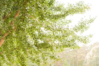 Rebecca Hicks Photography - 43