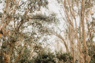 Florida Rustic Barn Weddings - 30