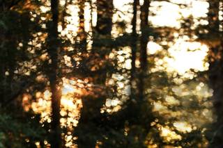 Photography by Veronika Patty - 37