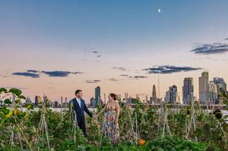 Brooklyn Grange - 6