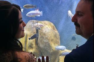 The Toledo Zoo - 8