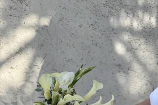 Beach Brides Lab - 12