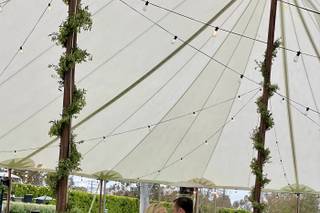 Intertwined Wedding & Special Events - 7