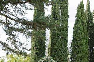 Tuscan Tours and Weddings - 12