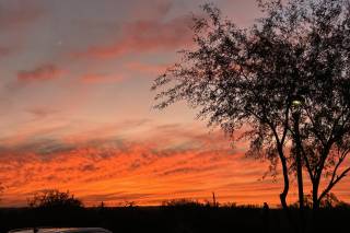 Tanque Verde Ranch - 9