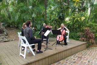 Sunken gardens - 52
