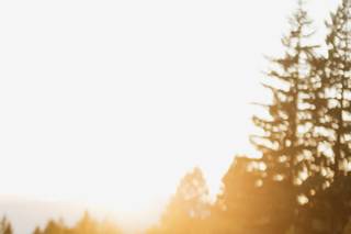 Ali Rae Photography - 7