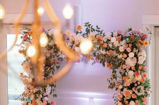 Alex Paul photography - 7