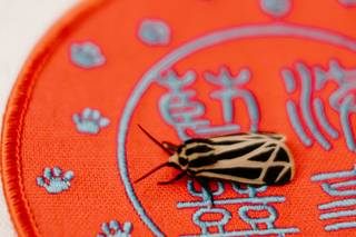 Paperbird Photography - 26