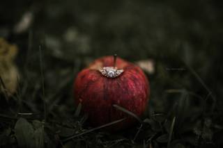 Baylee K Perry Photography - 5