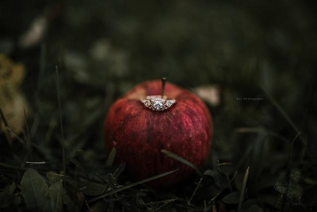 Baylee K Perry Photography - 1