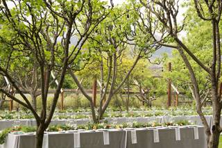 Ybarra Events - 35