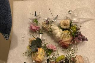 What N Carnation Flowers - 12