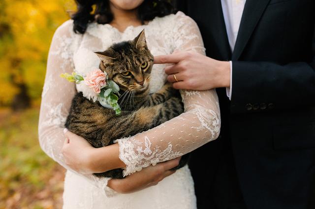 Kelly Benvenuto Photography - 3