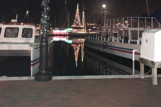 The Conch Republic Seafood Company - 7