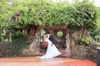 Visuals Photo and Video - 33
