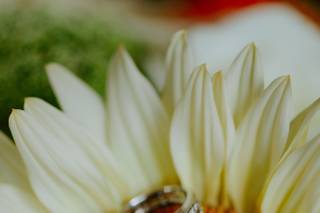 ANDREW THILL PHOTOGRAPHY - 8