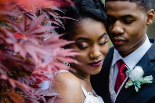 Viridian Images Photography - 28