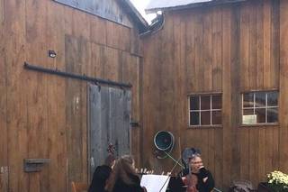 Green Taylor Ensemble - 17