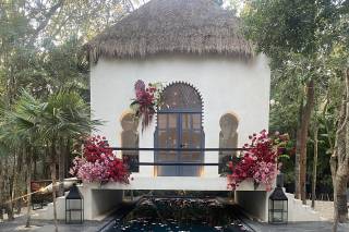 Ambre et Epices Jungle Venue - 11