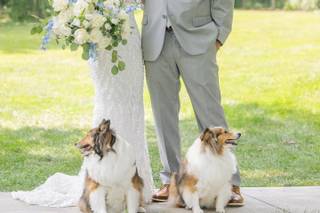 Amberlee Christey Photography - 10